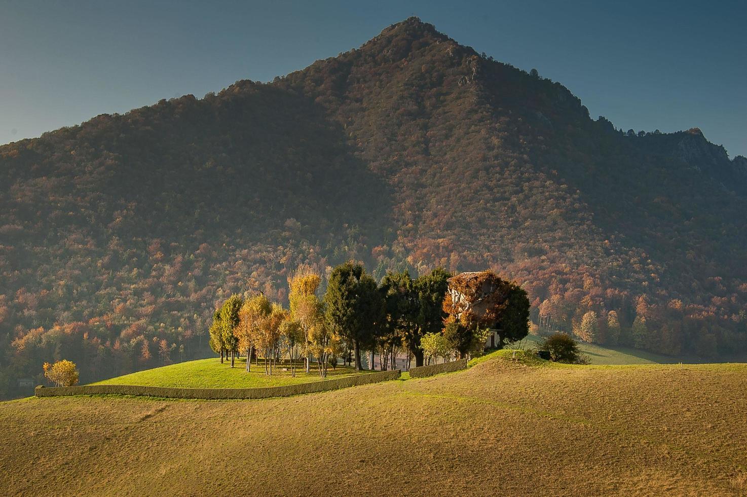 il capanno di caccia nascosto taglia gli alberi foto