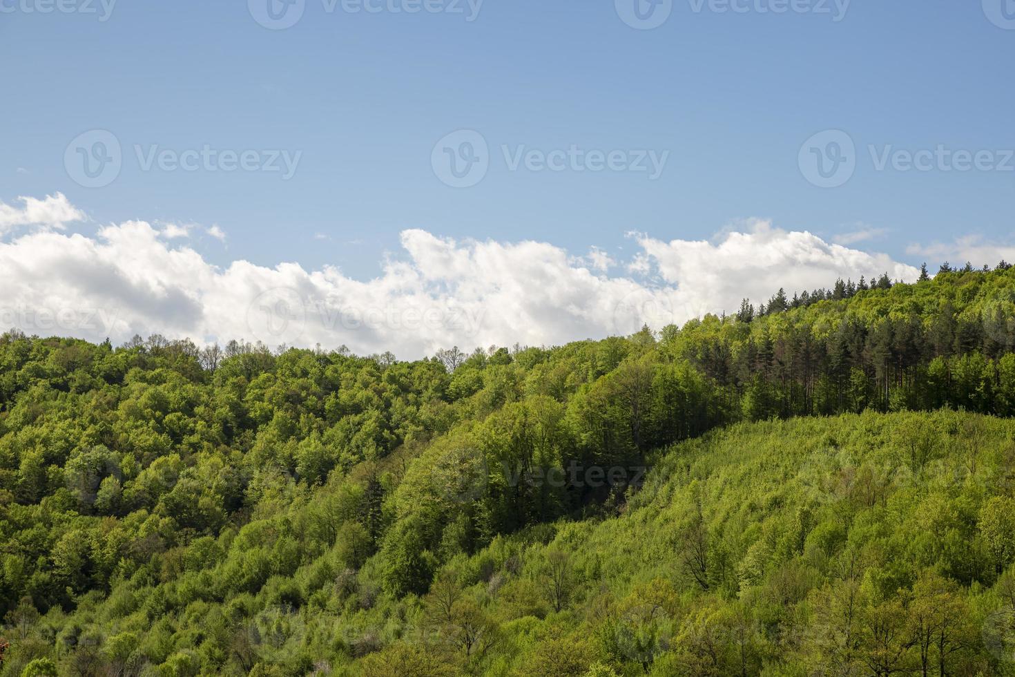 colline verdi panoramiche contro il cielo azzurro con nuvole. foto