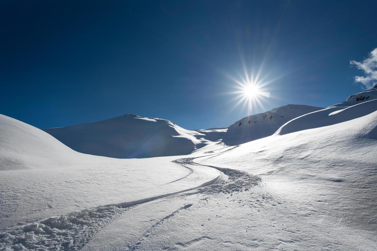 piste dello sciatore solo sulla neve fresca foto