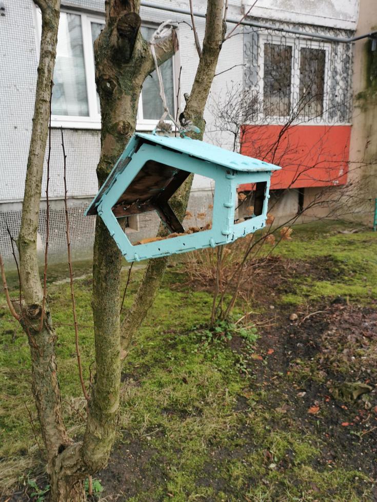 mangiatoia per uccelli a forma di casa blu su un ramo di albero vicino a un edificio a più piani. foto