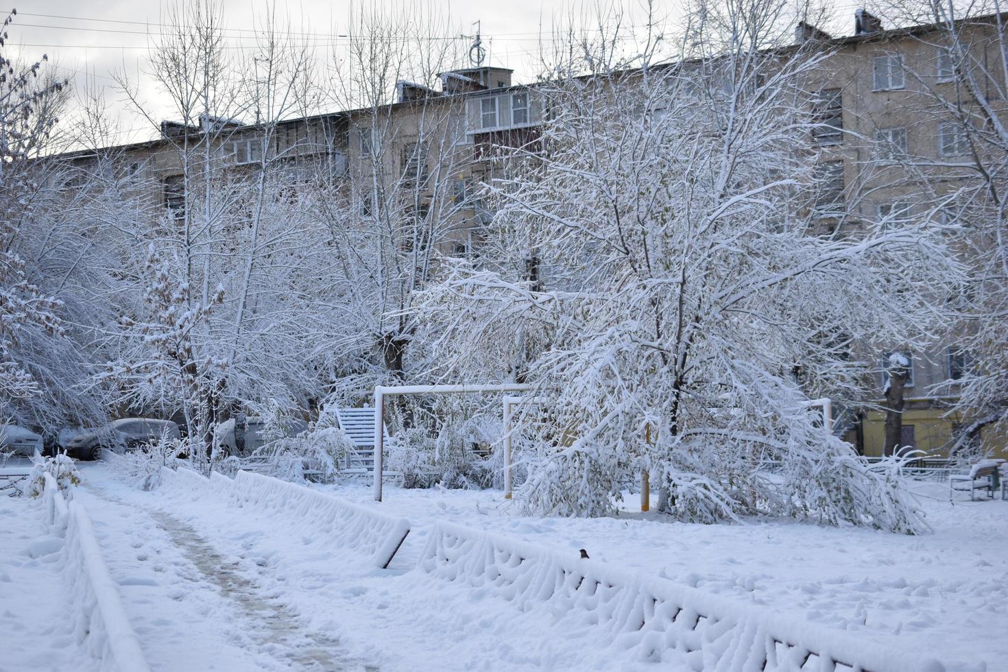 alberi sulla neve dopo una nevicata in autunno foto