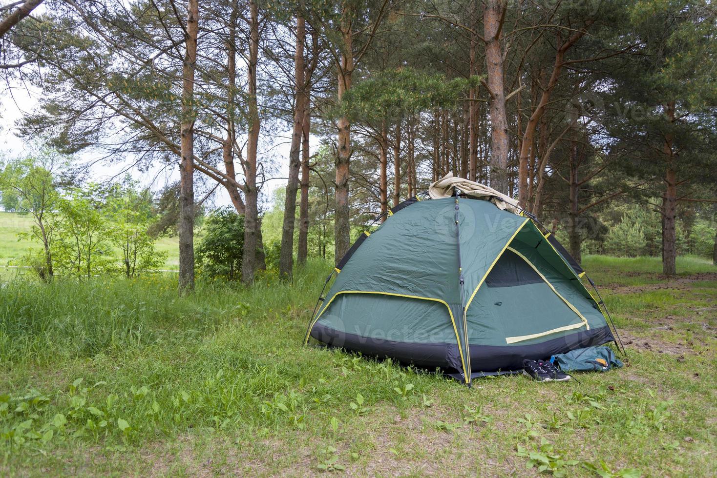 tenda verde d'estate, pineta, scarpe da ginnastica vicino alla tenda. foto