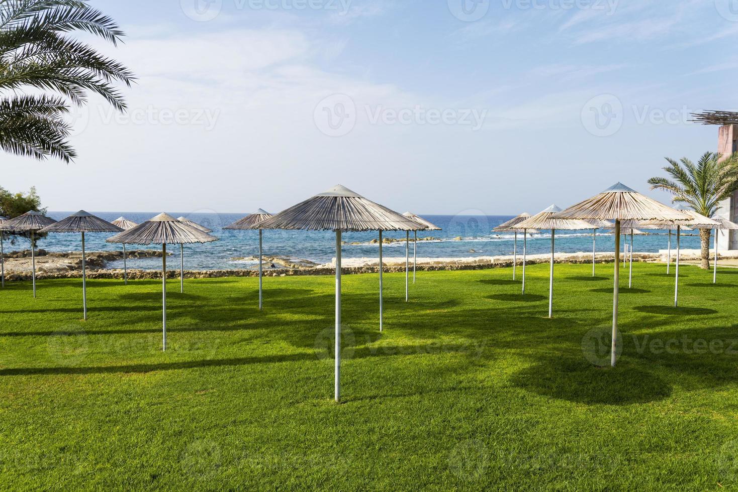 ombrelloni sul prato con vista sul mare. foto