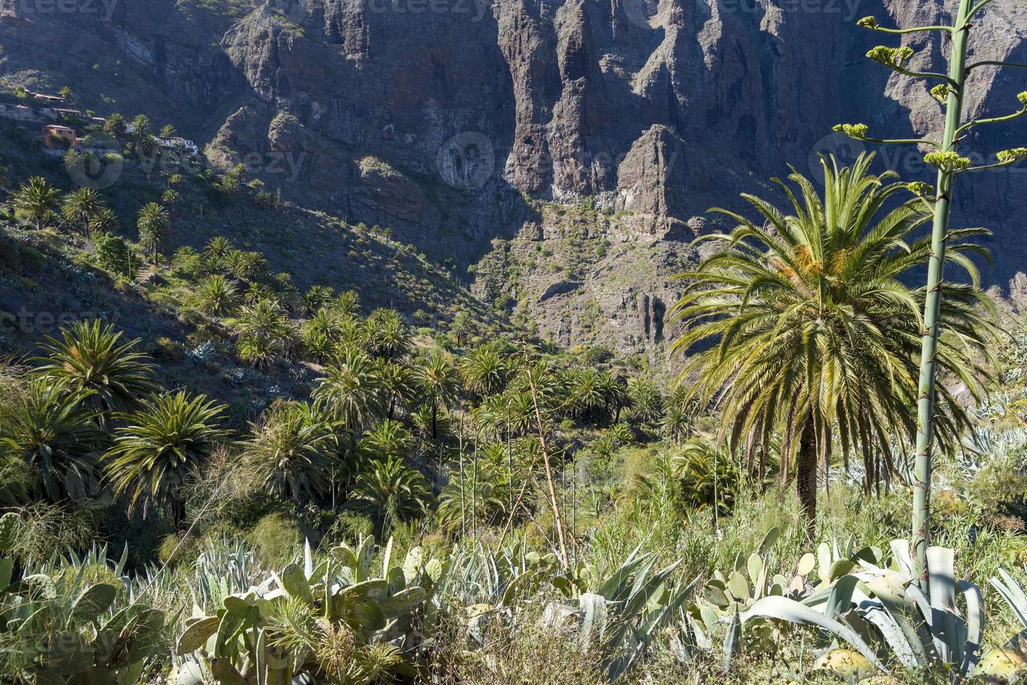 vista sulle montagne e sulla maschera della gola. foto