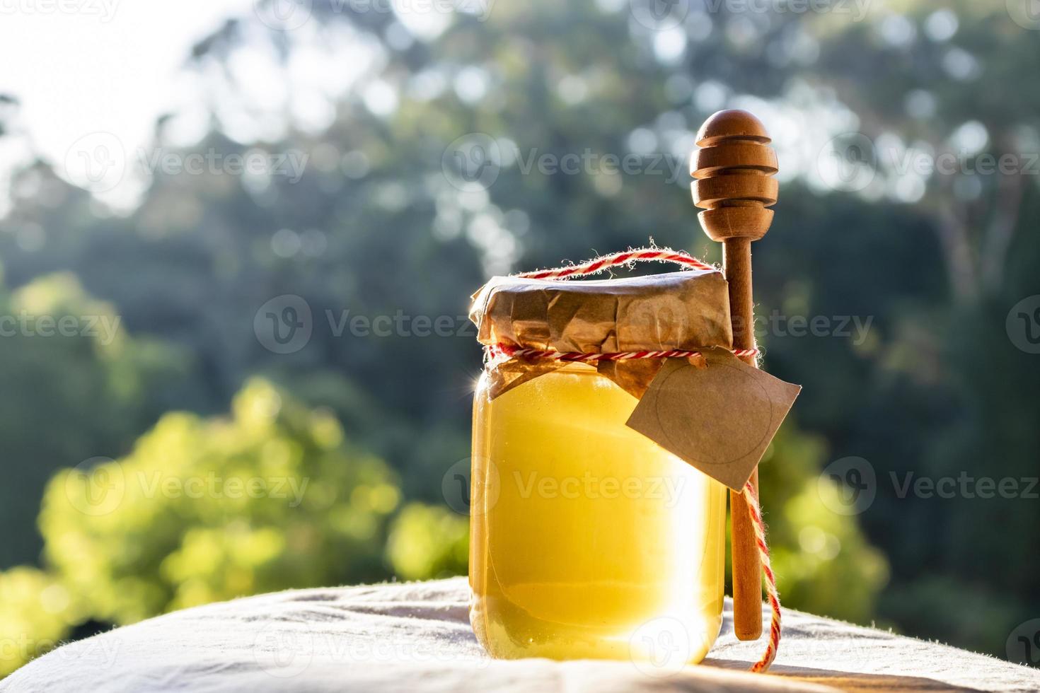 miele con mestolo di miele e bastoncino di legno. miele floreale biologico su sfondo sfocato con alberi in brasile foto