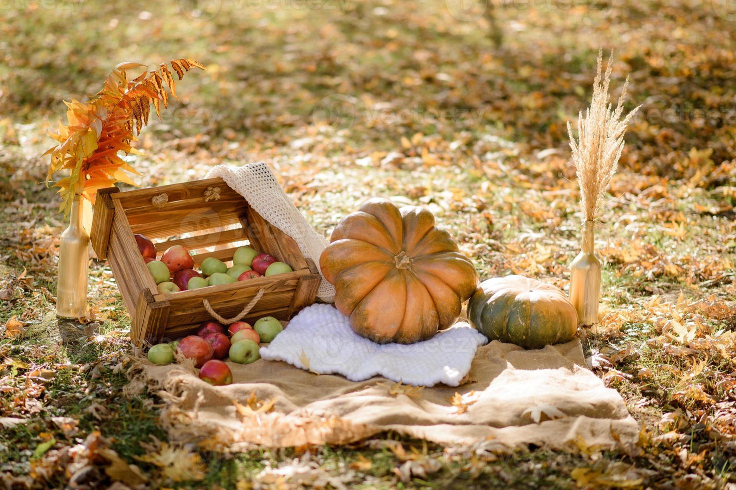 arredamento autunnale nel parco. zucche e mele rosse che si trovano in una scatola di legno su sfondo autunnale. periodo autunnale. giorno del Ringraziamento. foto