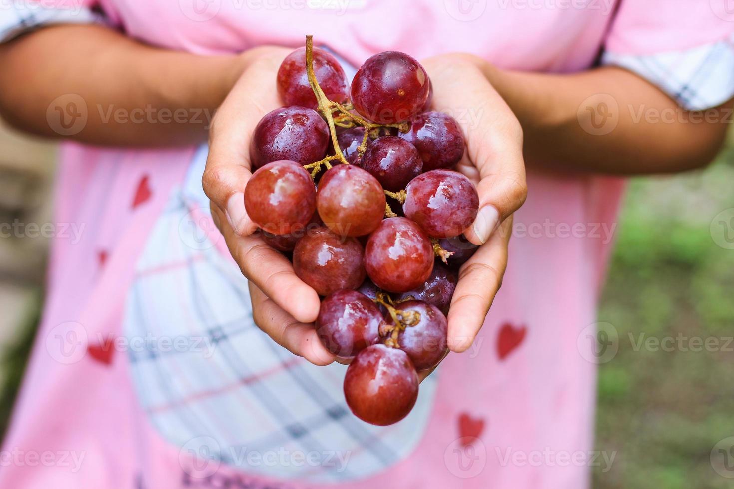 uva rossa fresca foto