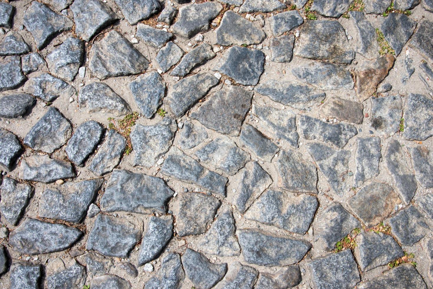 pavimentazione in pietra con piccole piante che crescono tra di loro foto