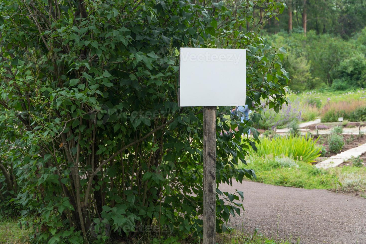 segno bianco nel parco su uno sfondo di alberi foto