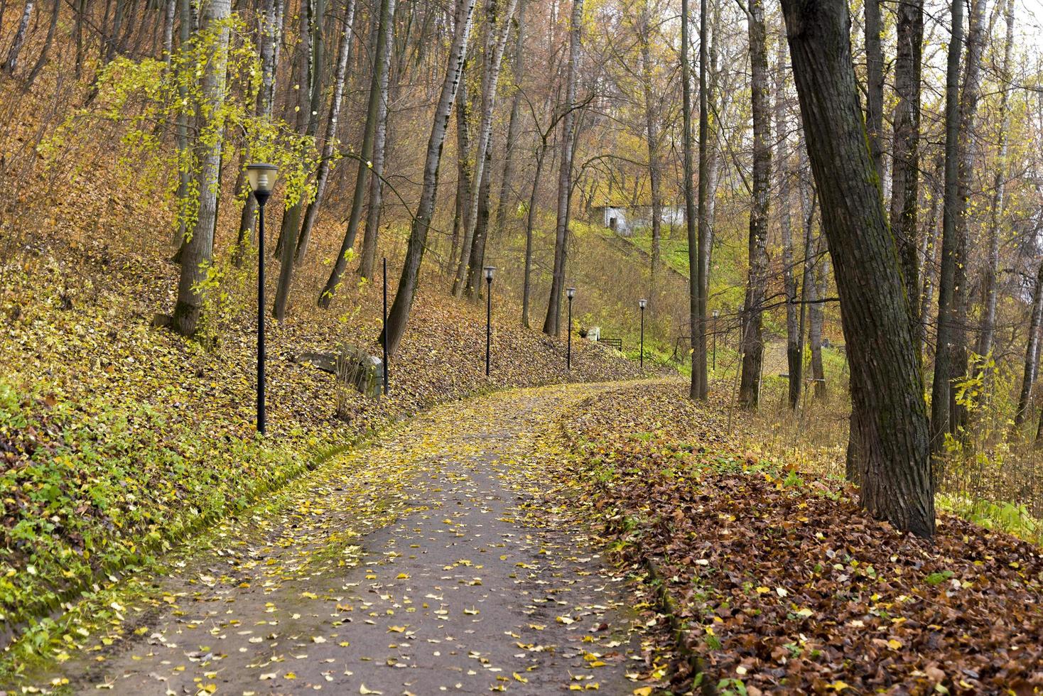 parco autunnale a nizhny novgorod con luci al mattino. foto