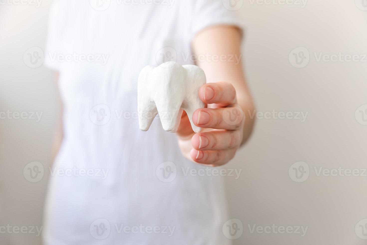 concetto di cure odontoiatriche sanitarie. mano della donna che tiene il modello bianco del dente sano isolato su priorità bassa bianca. sbiancamento dei denti, igiene orale dentale, restauro dei denti, giornata del dentista. foto