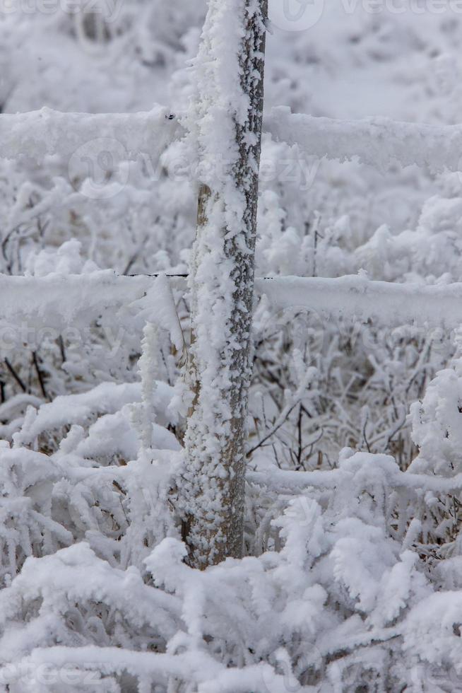 gelo invernale saskatchewan foto