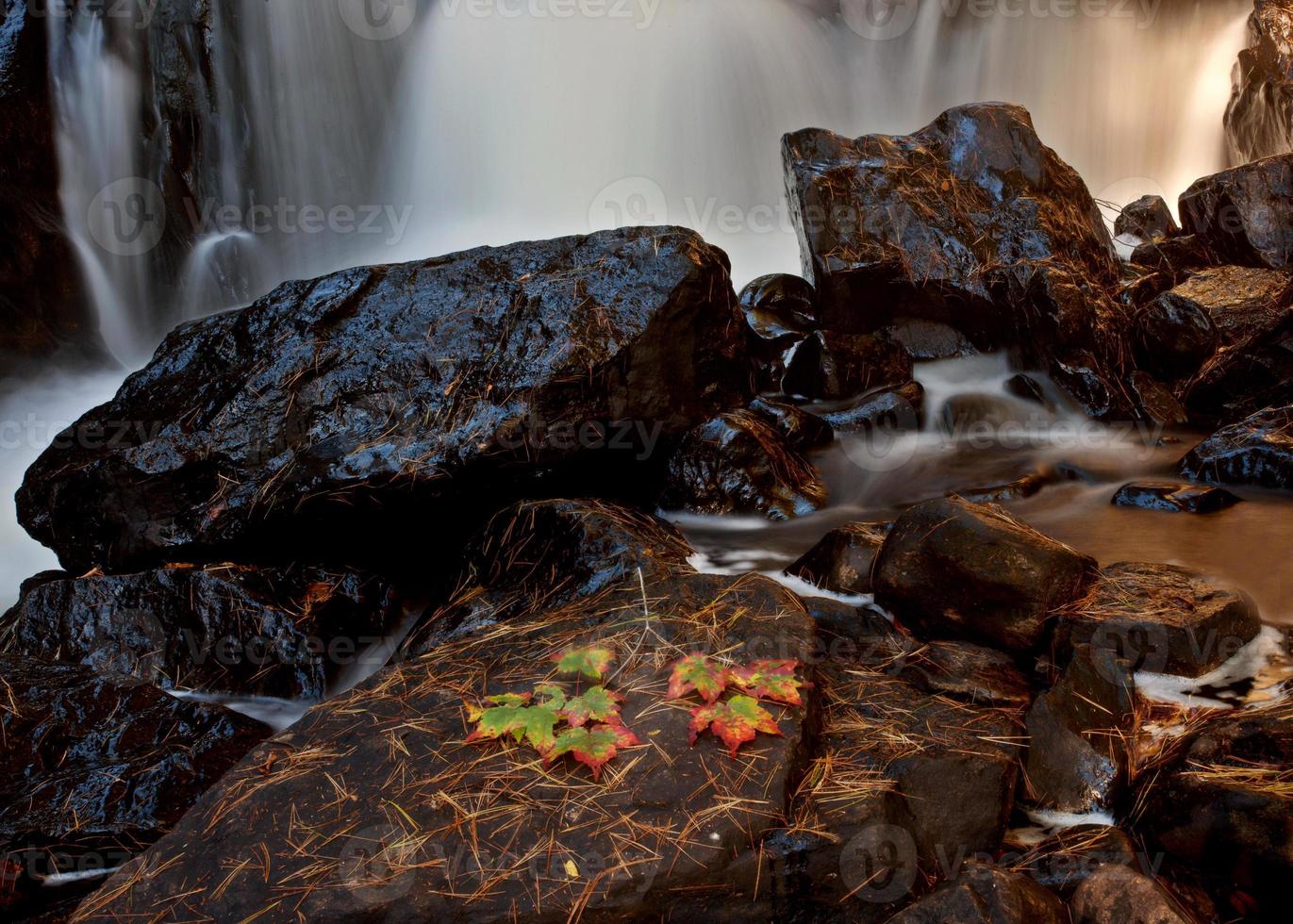 algonquin park muskoka ontario cascata foto