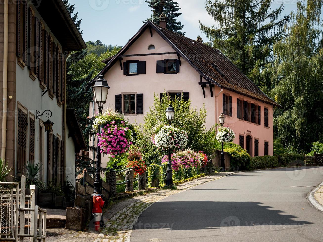 villaggio fiorito in alsazia. decorazione di lampioni con fiori e piante in vaso. foto