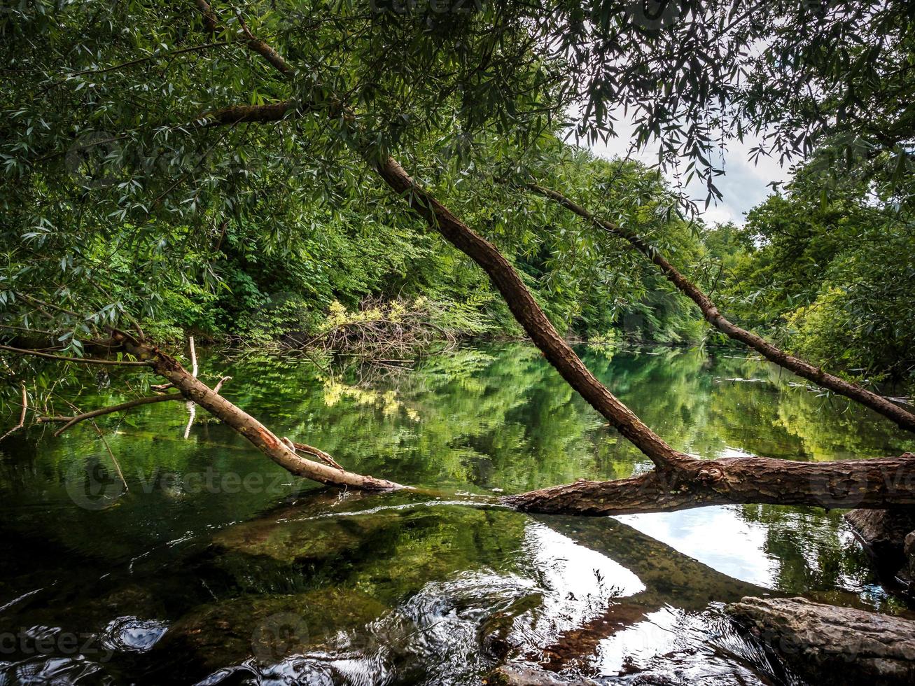 piccola ma veloce rapida con una cascata su un fiume di montagna, foresta, alsazia. foto