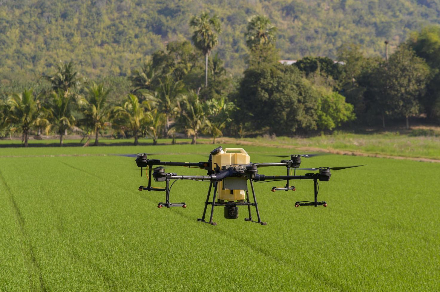 drone agricolo che vola e spruzza fertilizzanti e pesticidi su terreni agricoli, innovazioni ad alta tecnologia e agricoltura intelligente foto