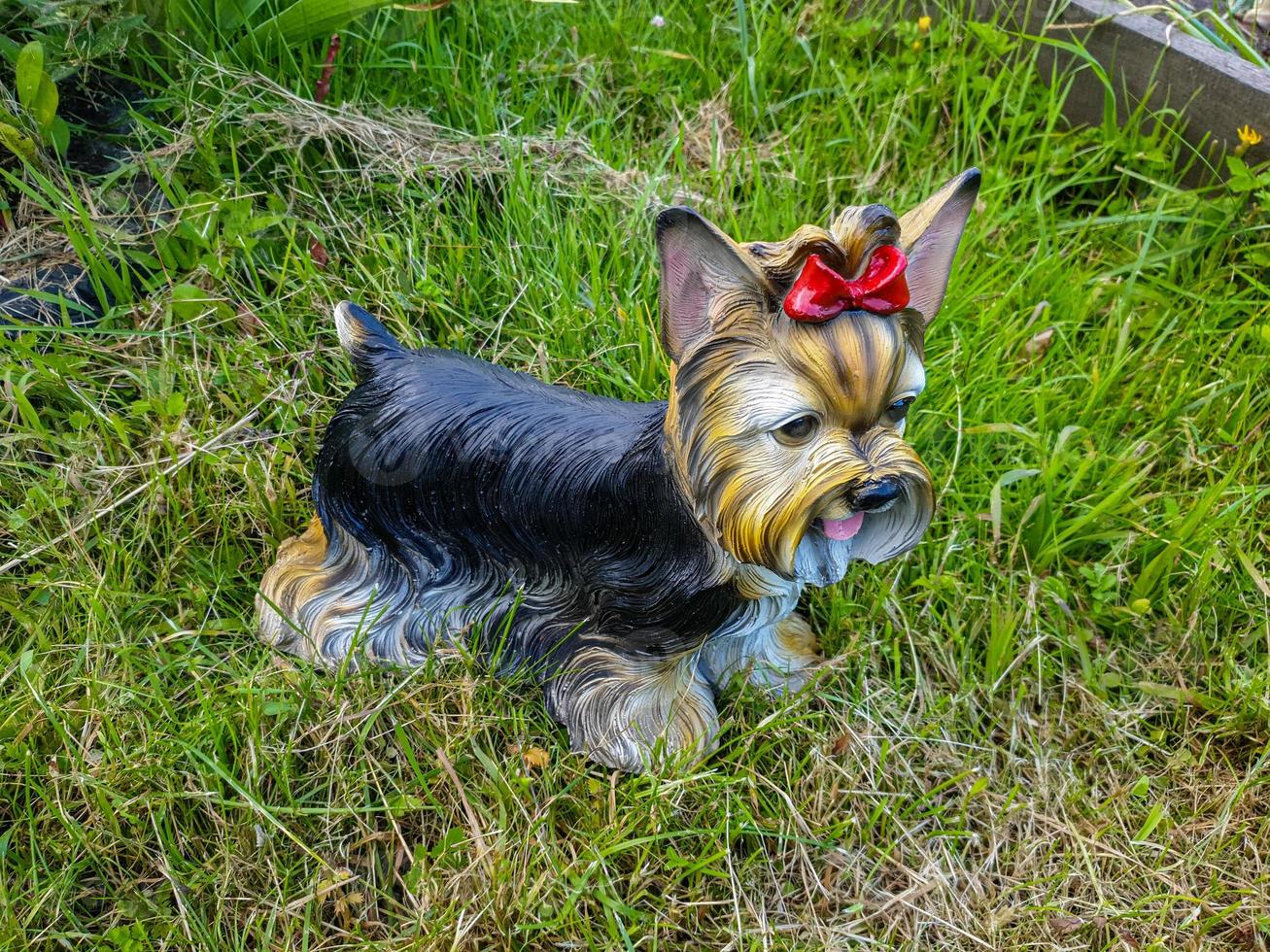 decorazione ornamentale del giardino a forma di primo piano del cane. foto