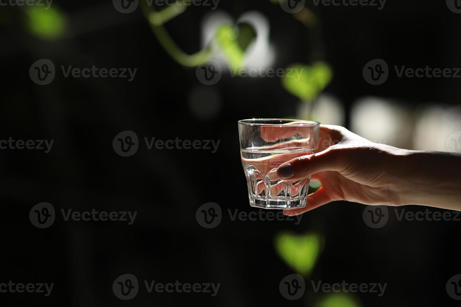 mani di donna isolate, tenendo un bicchiere d'acqua su uno sfondo scuro con foglie verdi. i raggi del sole cadono sul vetro. sana mattinata foto