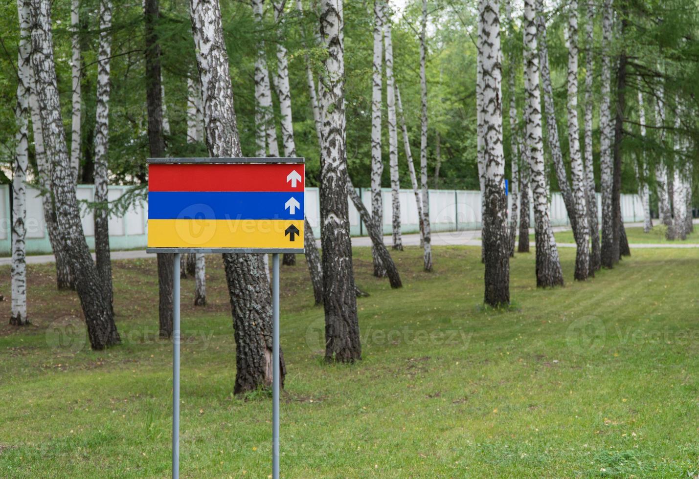 segno in bianco colorato nel parco su uno sfondo di alberi foto