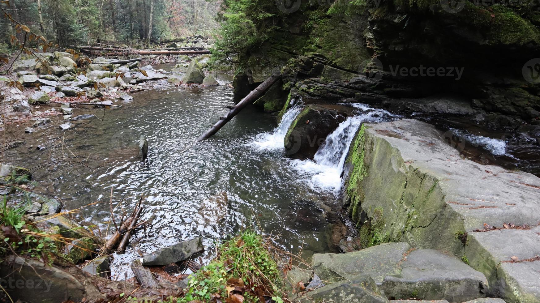 paesaggio di un fiume di montagna nella foresta all'inizio dell'autunno e alla fine dell'estate. acqua in un corso d'acqua naturale. bella e rilassante foresta con un fiume. fiume nel profondo della foresta di montagna. composizione della natura. foto