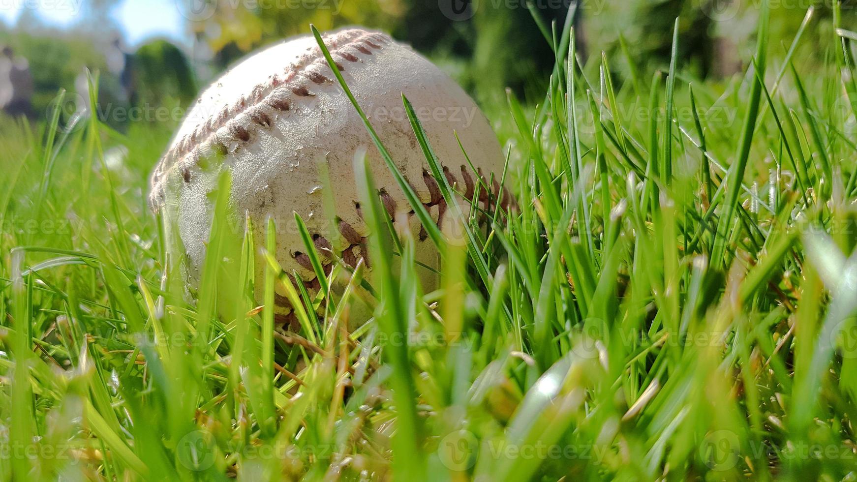 bianco vecchio pallone da baseball su erba verde fresca con copia spazio primo piano. partita di baseball sportiva americana. foto