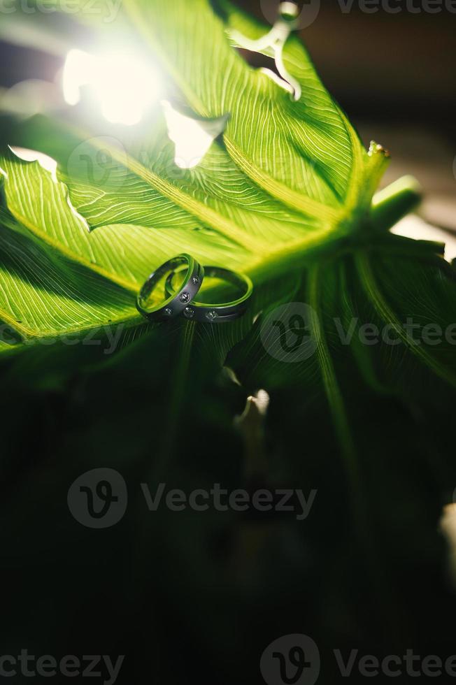 un paio di fedi nuziali su foglia verde foto