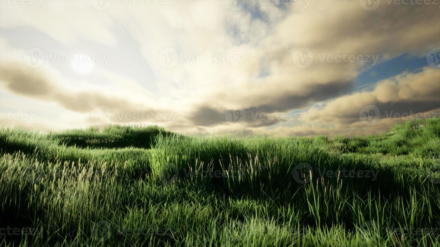 nuvole temporalesche sopra il prato con erba verde foto
