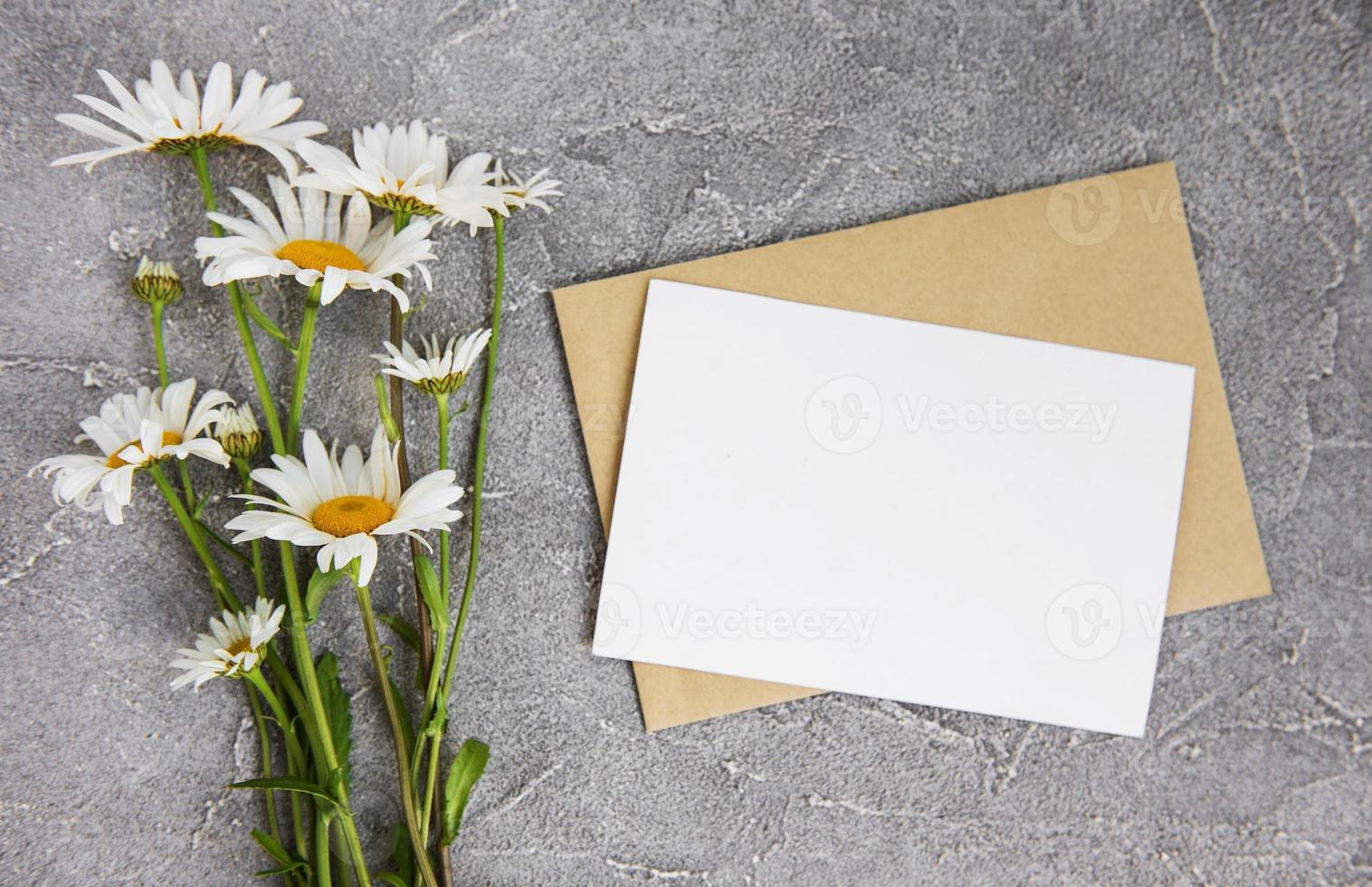 biglietto di auguri bianco vuoto e busta con fiori di camomilla foto