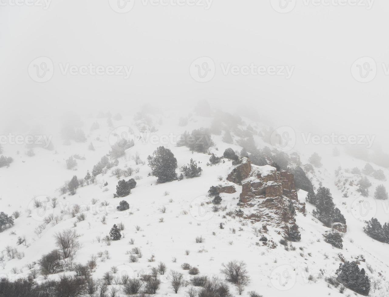 paesaggio di montagne invernali tra nuvole e nebbia foto