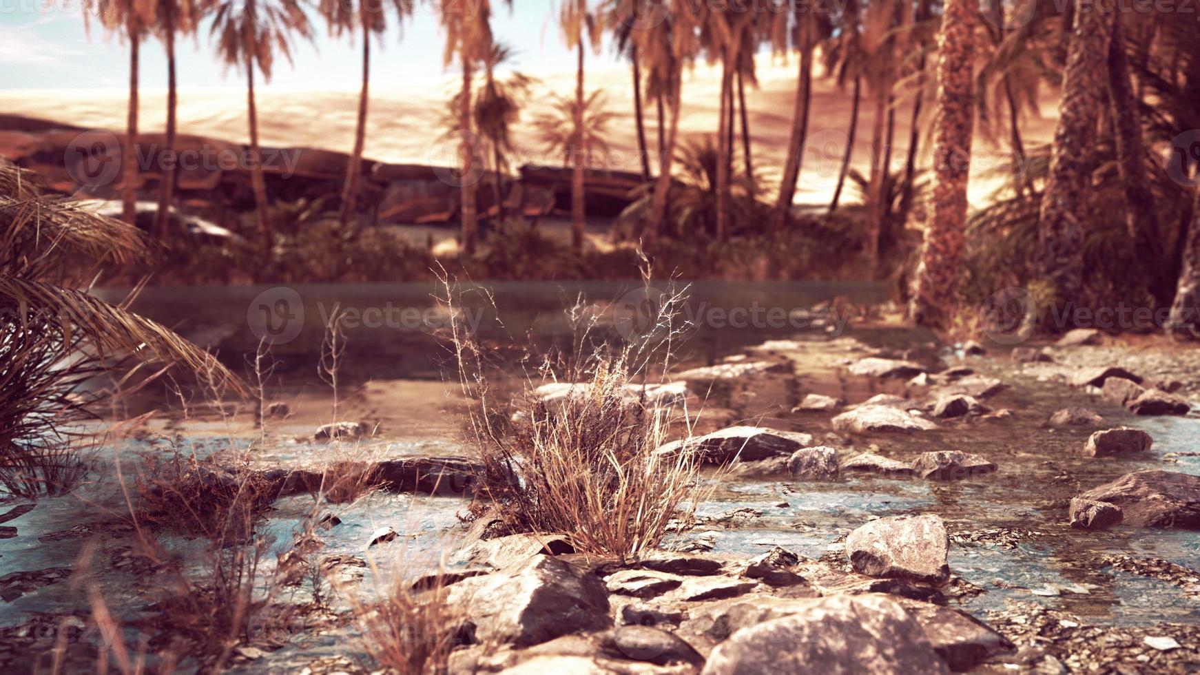 oasi idilliaca nel deserto del Sahara foto