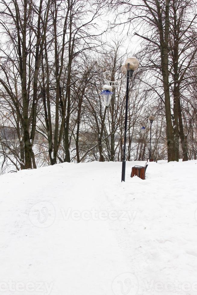 paesaggio invernale nel parco foto