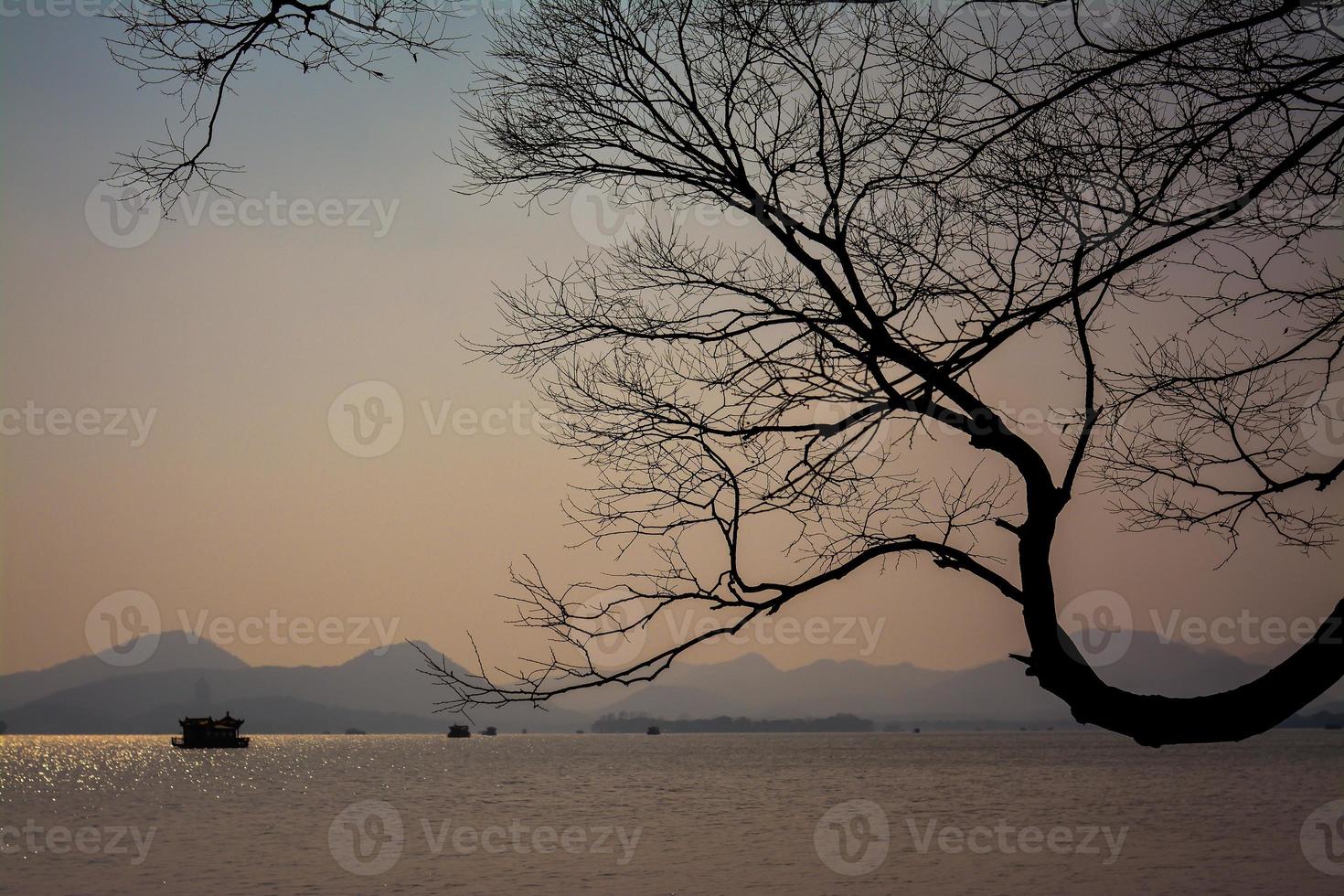 natura albero paesaggio montagne lago foto