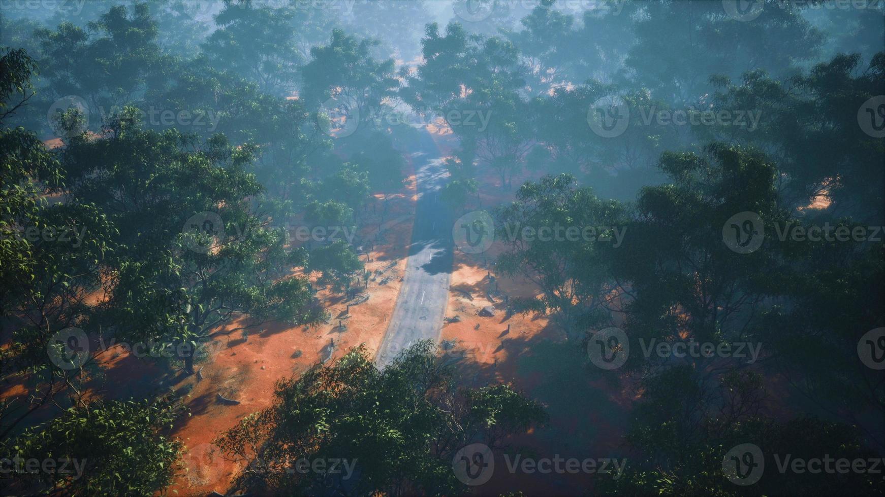 drone girato vista aerea o strada in vecchi boschi di foresta foto