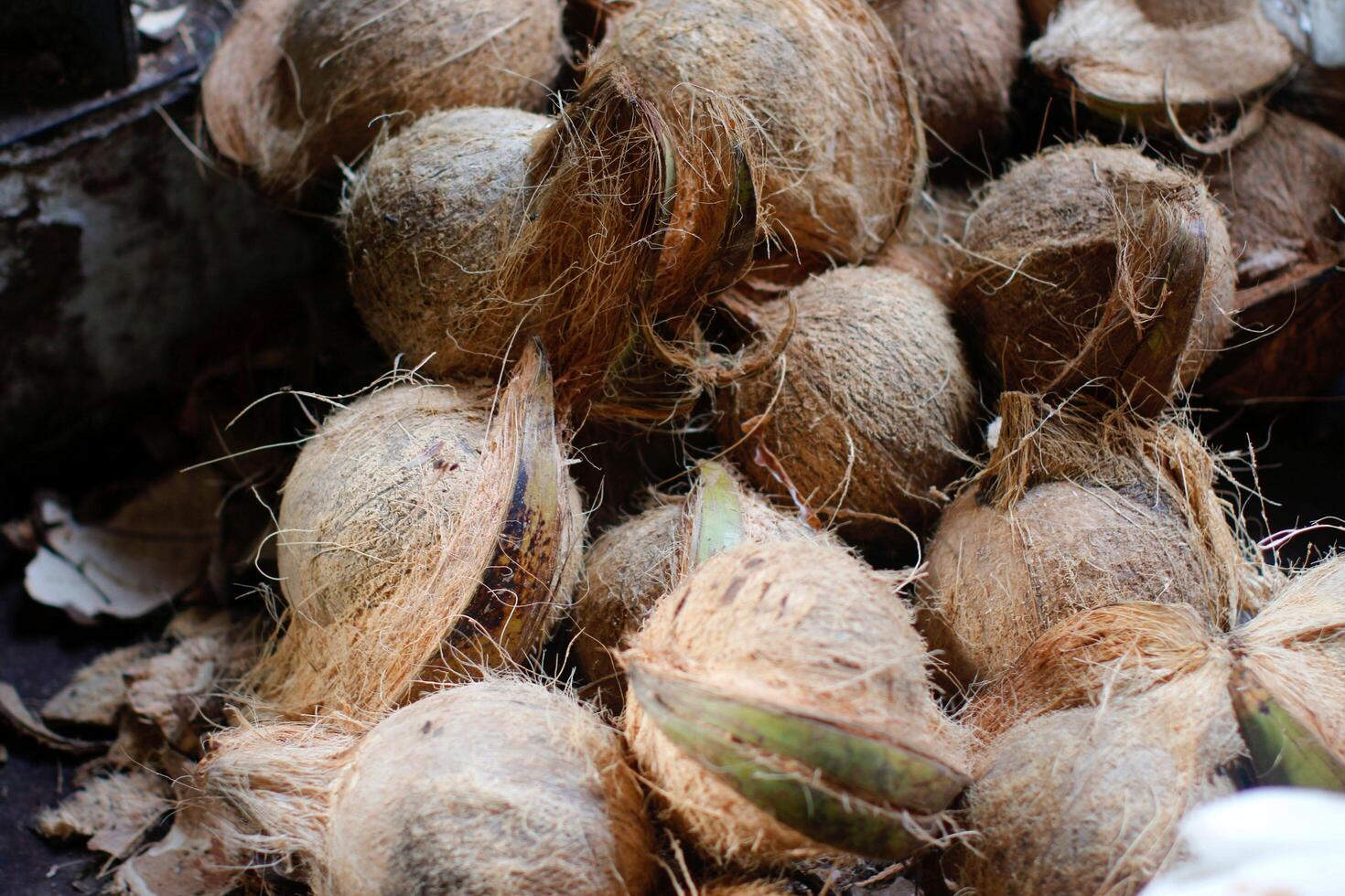 frutta di cocco sbucciata foto