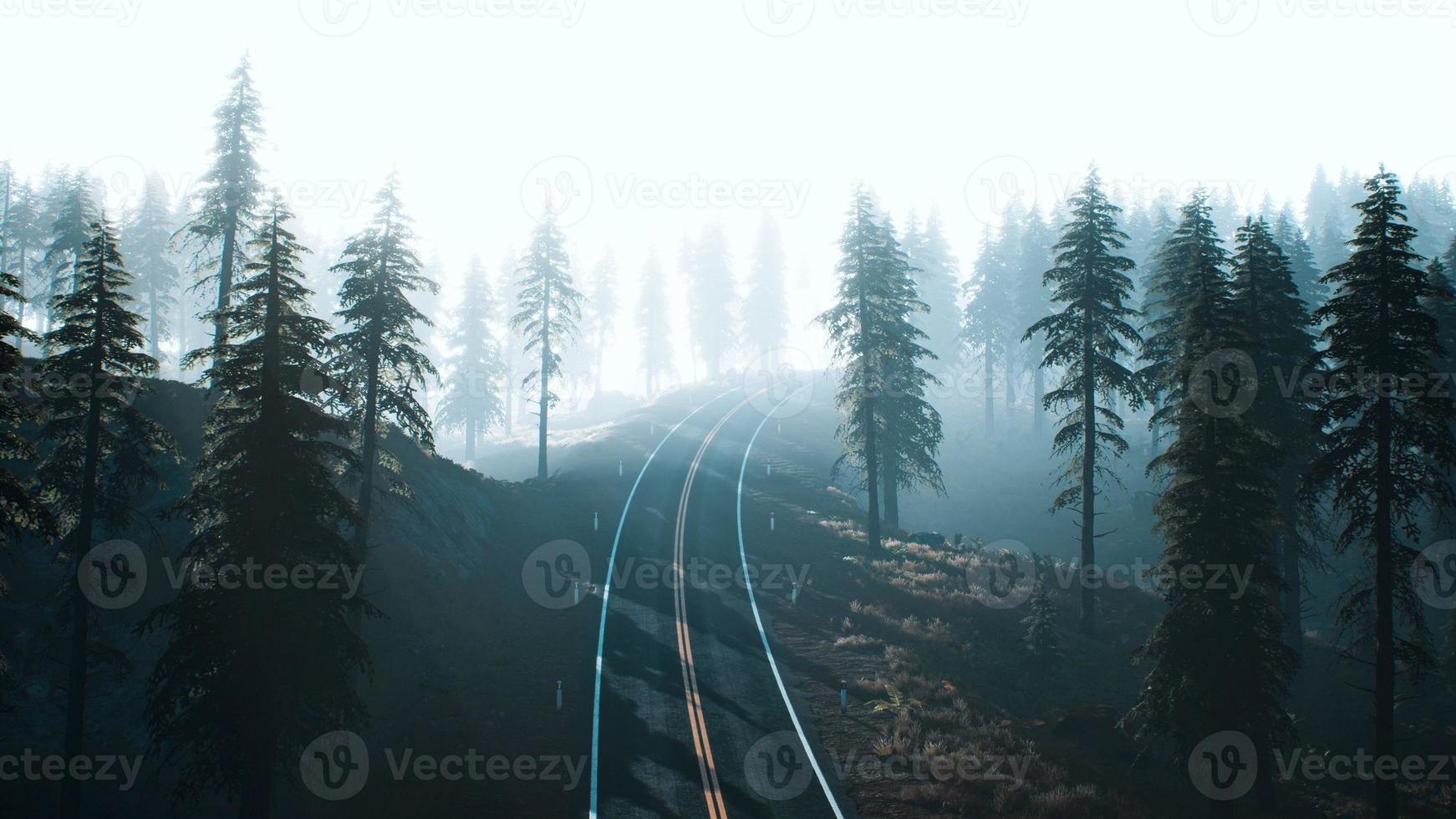 strada attraverso la foresta della taiga russa dalla vista aerea foto