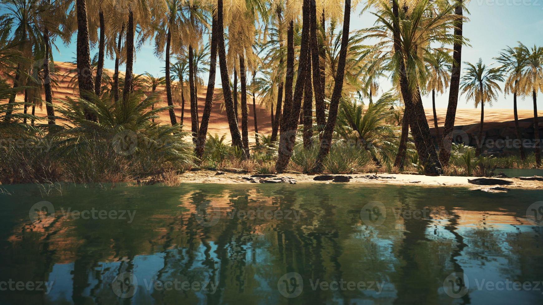 oasi verde con laghetto nel deserto del Sahara foto