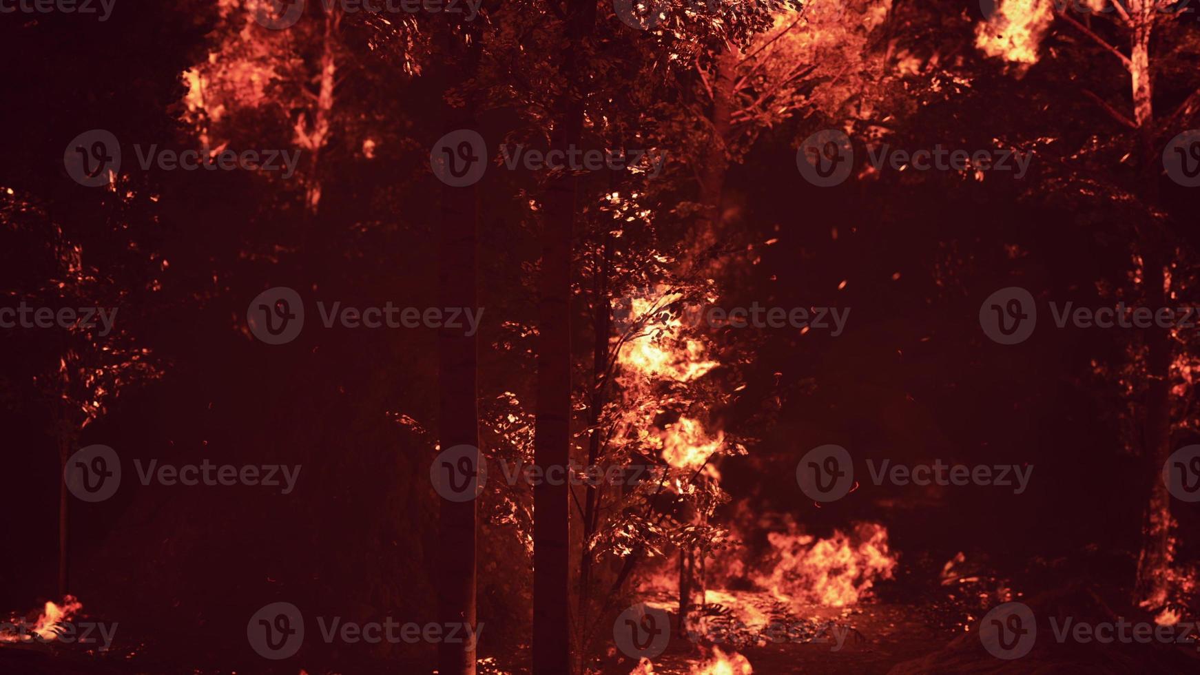 grandi fiamme di incendi boschivi foto