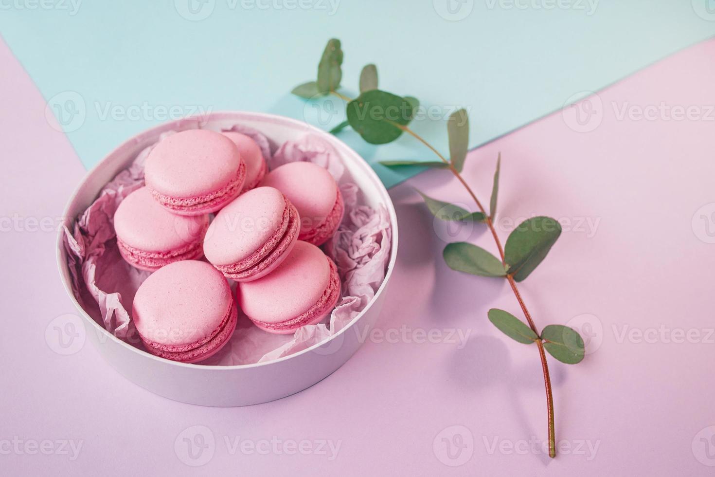 rosa deliziosi macarons fatti in casa in scatola rotonda e ramo di eucalipto su sfondo viola e mentolo foto