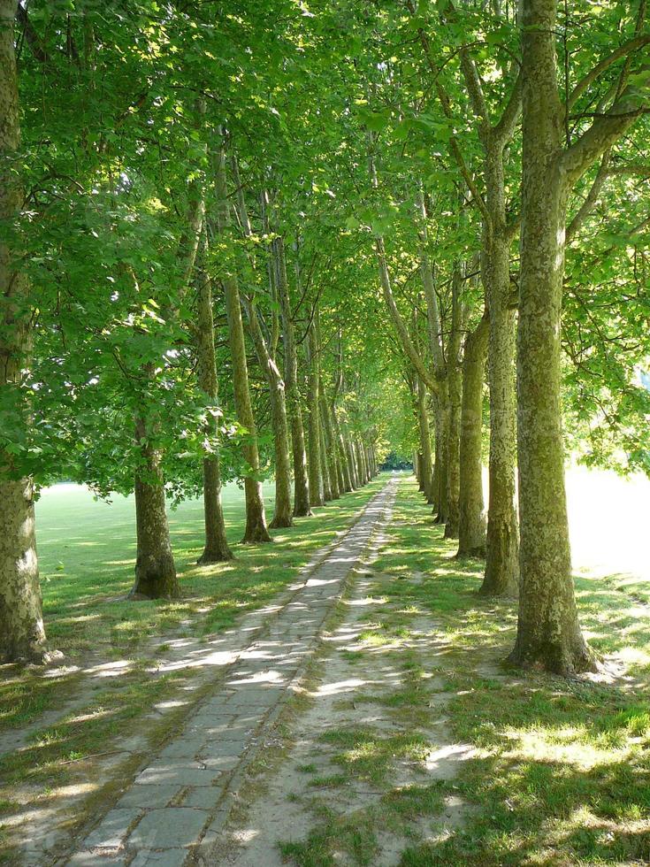 antica villa foscari giardino la malcontenta a padova padova in v foto