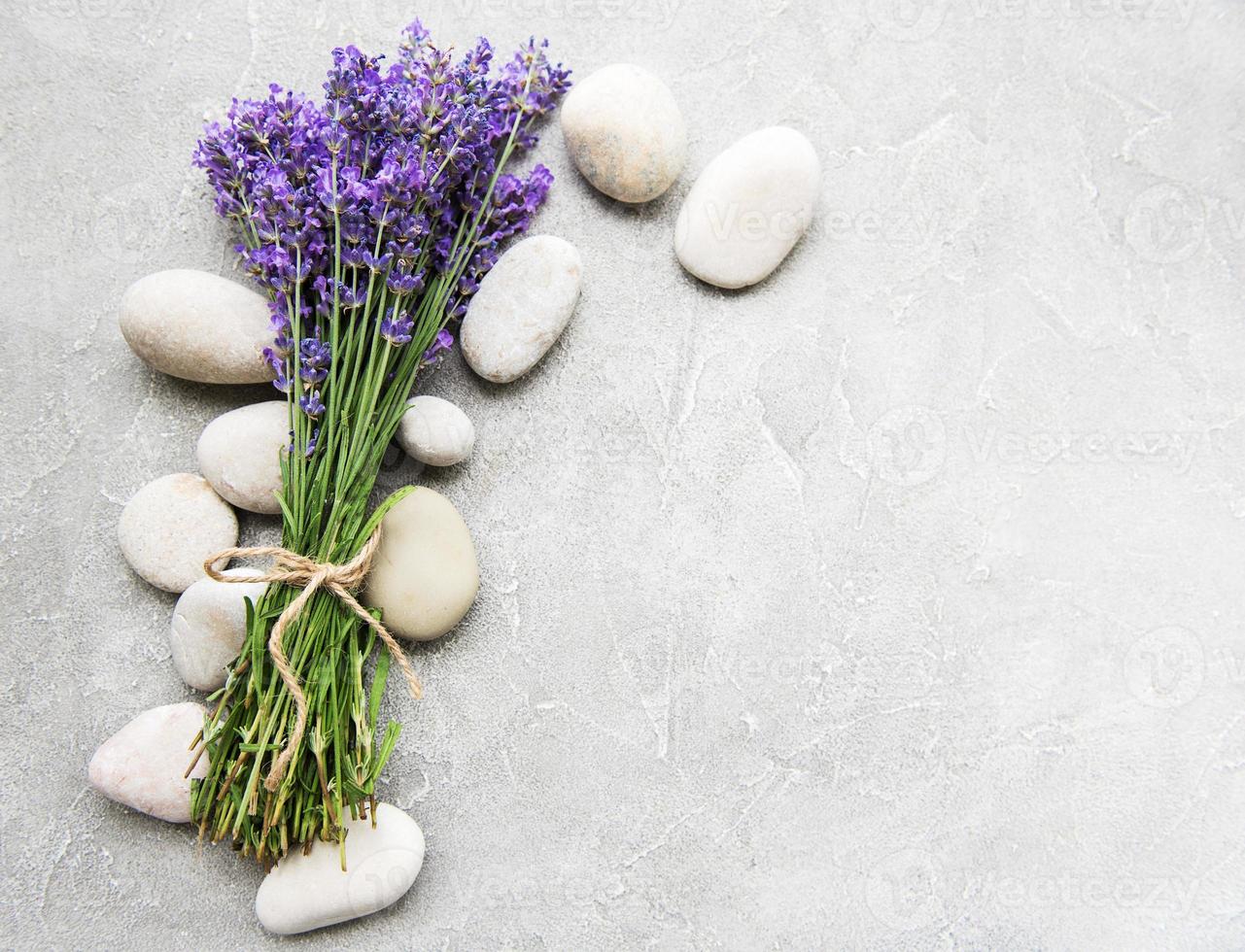 fiori di lavanda freschi foto