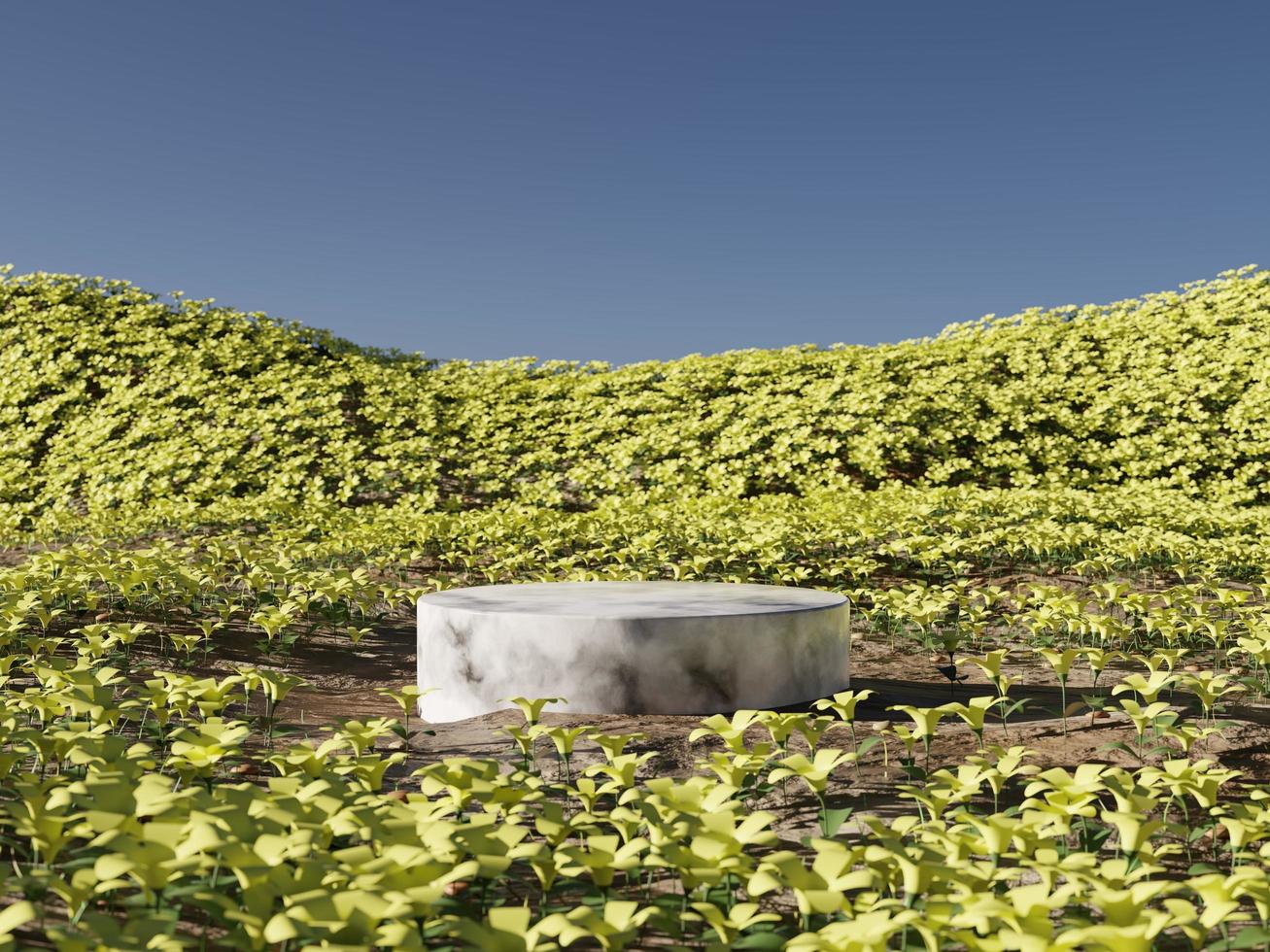 podio sul campo di fiori naturali 3d rendering illustrazione foto