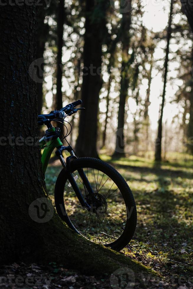 mountain bike nella foresta foto