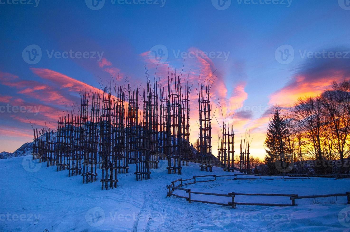 struttura in wacooden per piante da orto foto