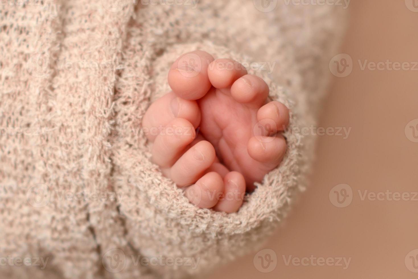 piedi morbidi del neonato contro una coperta marrone foto