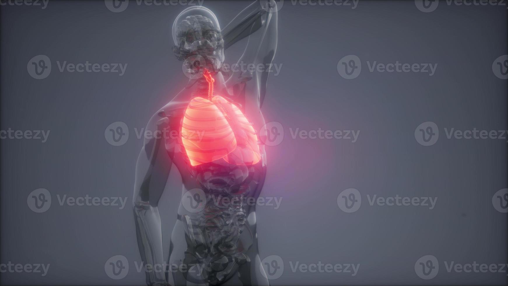 esame di radiologia dei polmoni umani foto