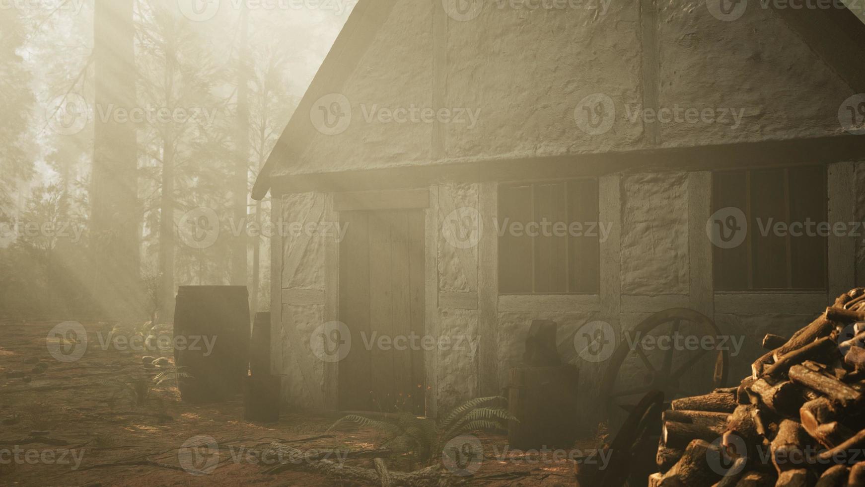 vecchia casa di legno nella foresta d'autunno foto