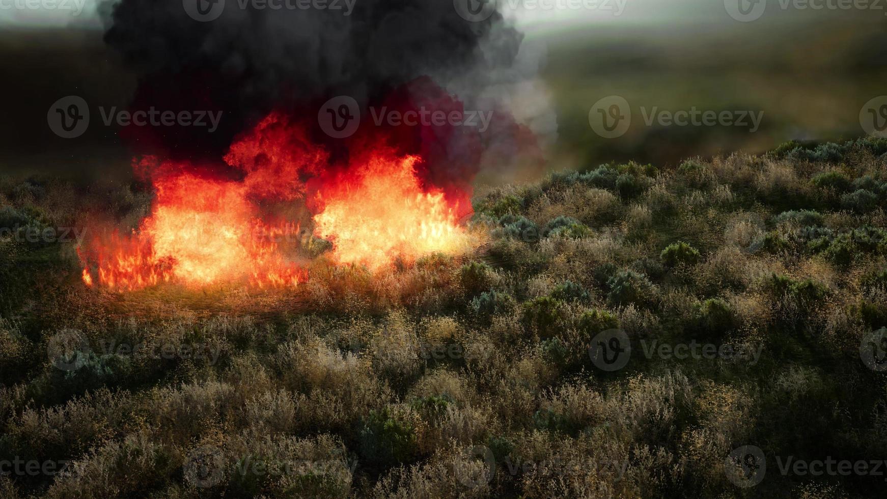 fuoco rosso nell'erba secca foto