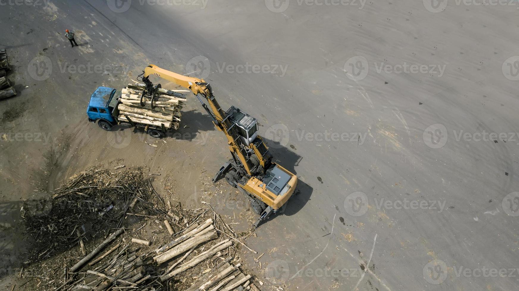 il caricatore carica le travi di legno nel camion foto