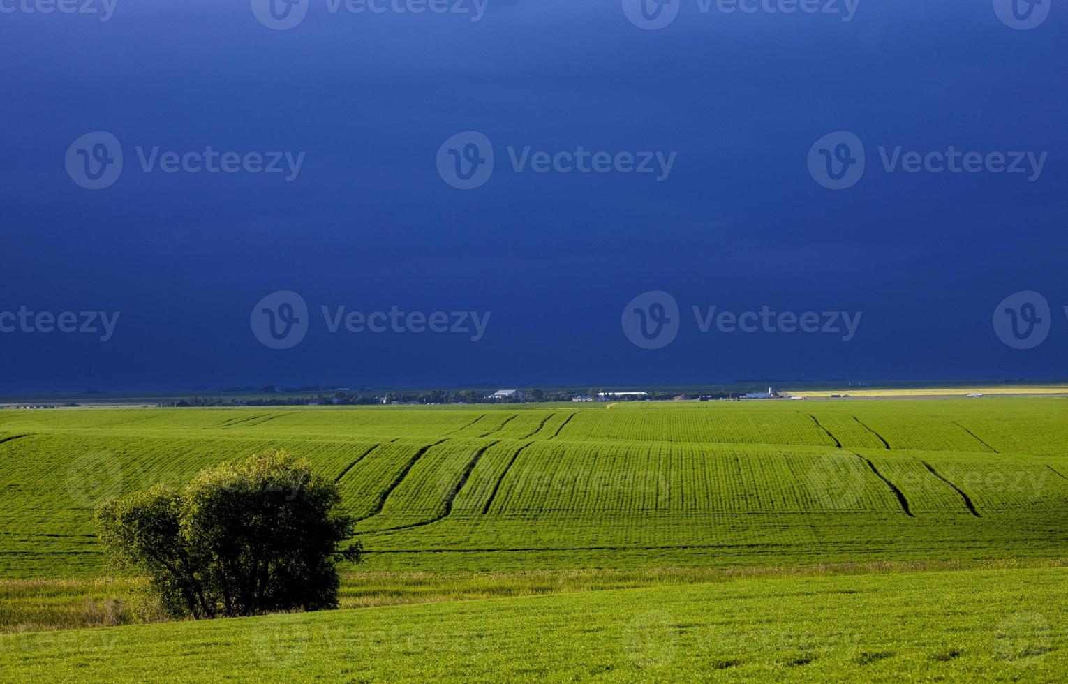 nuvole di tempesta della prateria foto