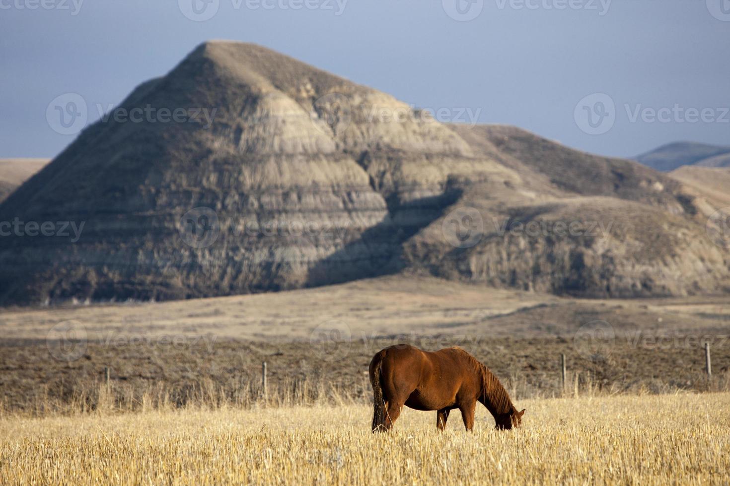 badlands canada saskatchewan foto